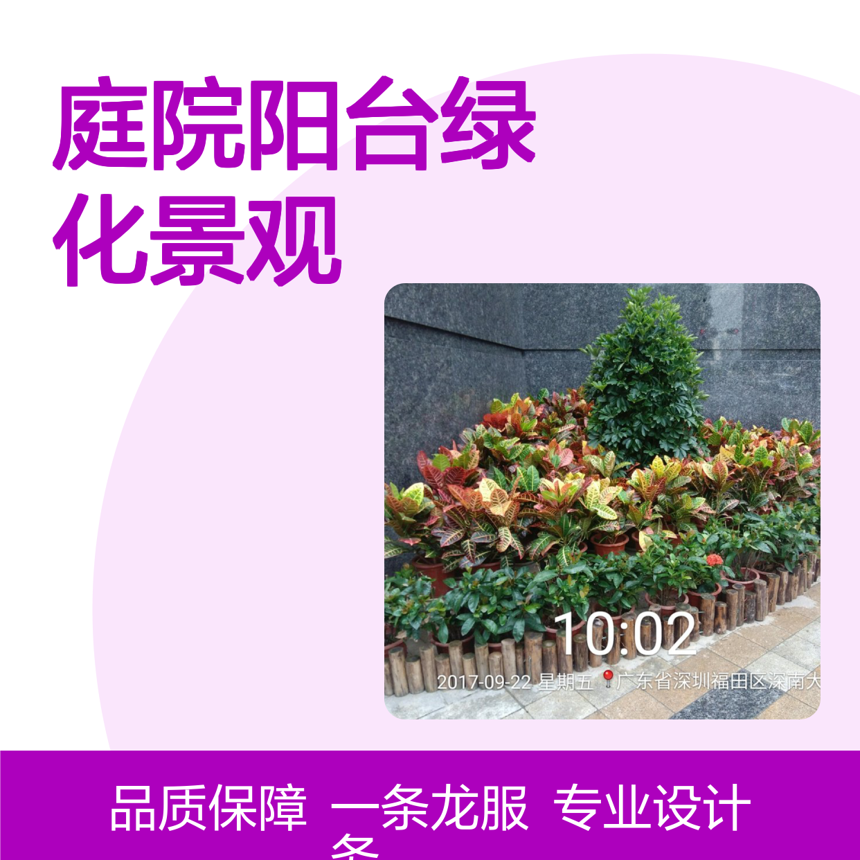 空中花园 屋顶庭院阳台绿化景观 绿化施工团队 南韵竹风
