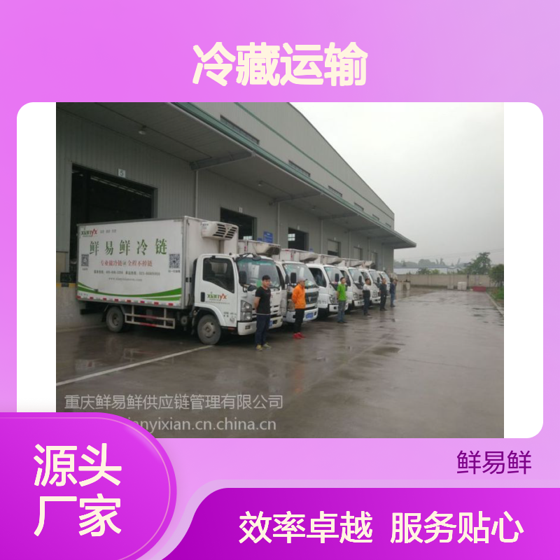 东莞到广州物流公司专线直达 冷链冷藏运输 24小时接单直达全境