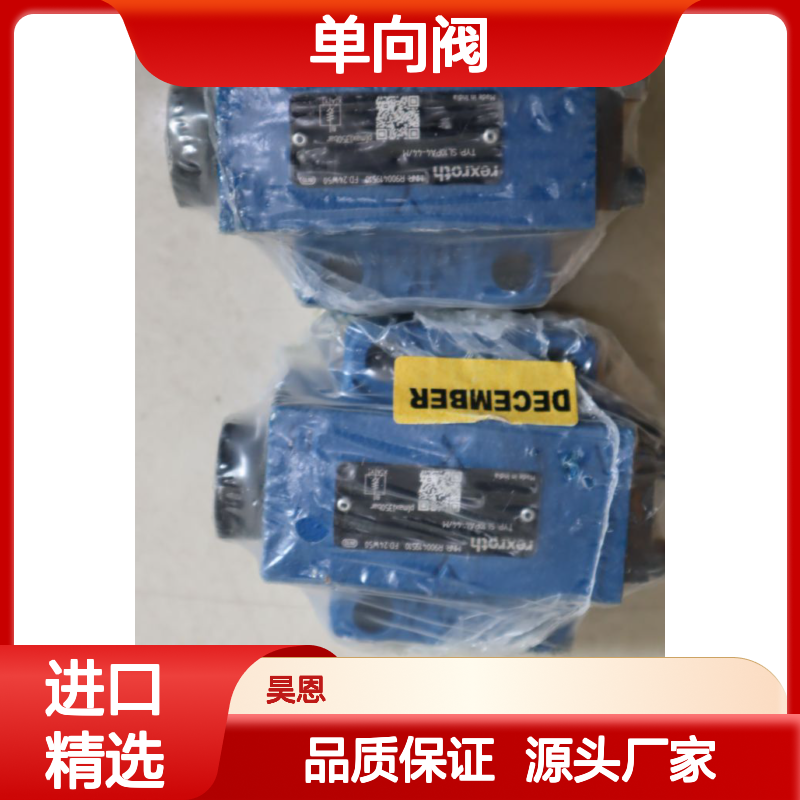 R900419510 SL10PA4-4X/M SL10PA4-42/M 力士乐REXROTH单向阀印度产