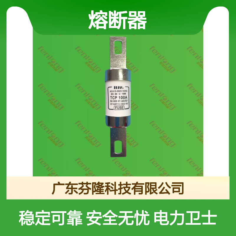 FENLONG/芬隆RGS12/RGS7熔断器 镀银铜片熔体 电力保护专用