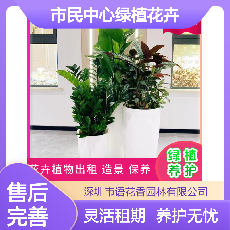市民中心绿植花卉租赁 长期短期灵活租摆 定时上门养护服务