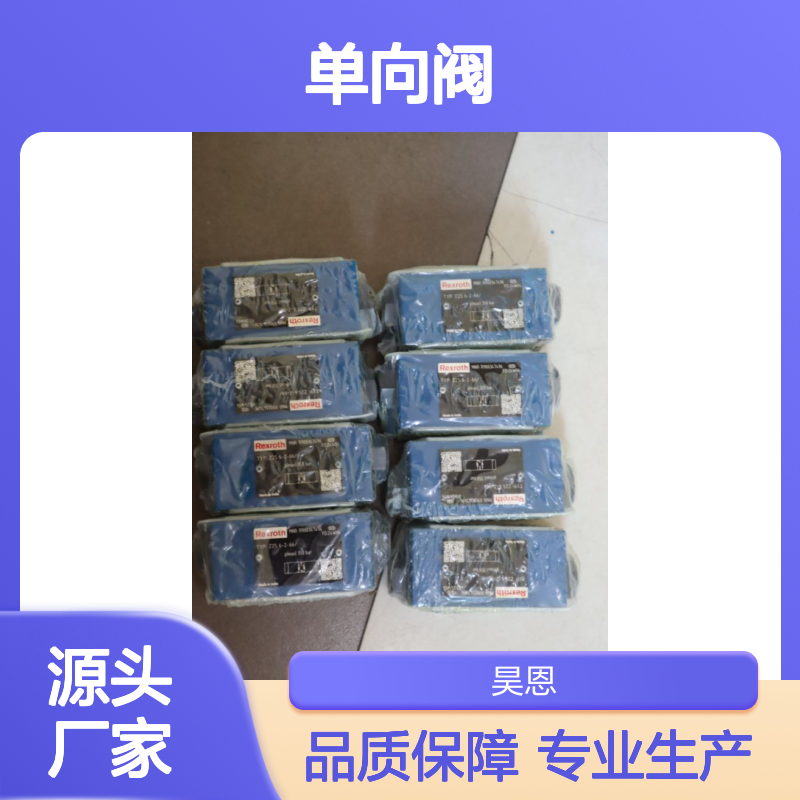 R900347496 Z2S6-2-6X/ Z2S6-2-66/ Z2S6-2-62/ 力士乐REXROTH单向阀