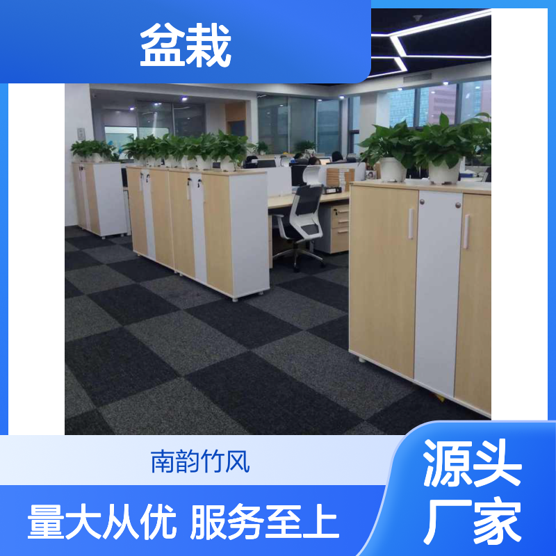 南韵竹风绿植盆栽租摆服务 承接绿化工程 品种多样