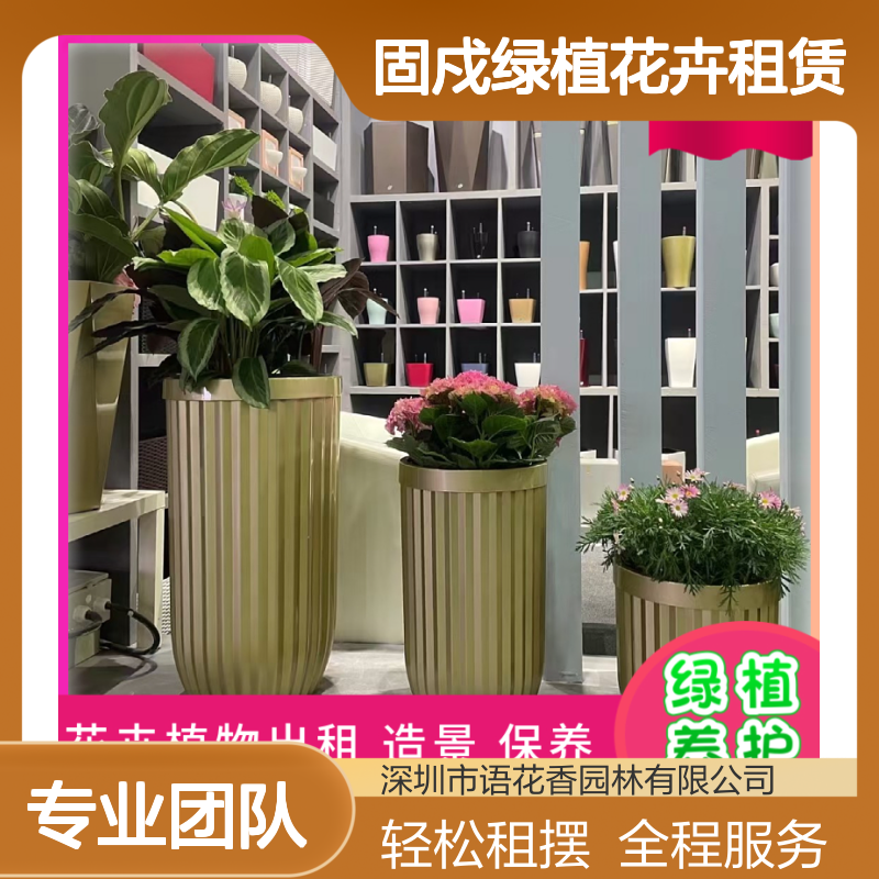 固戍绿植花卉租赁 盆栽组合 送货上门 承接临时租摆业务