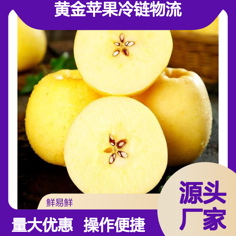 维纳斯黄金苹果冷链物流 冷藏运输 冷冻货运 生鲜配送服务