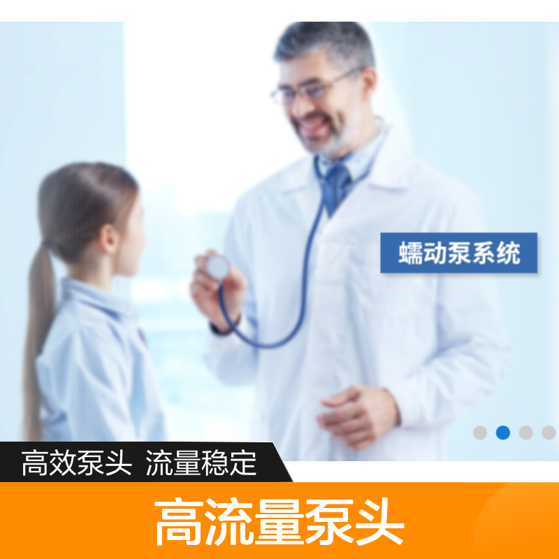 哈肯供应 美国Masterflex LS高流量泵头 型号 77250-62