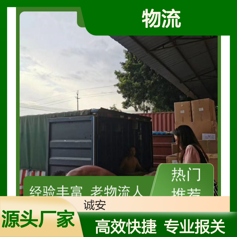 诚安物流 东莞到香港运输报关服务 天天发车 品质卓越