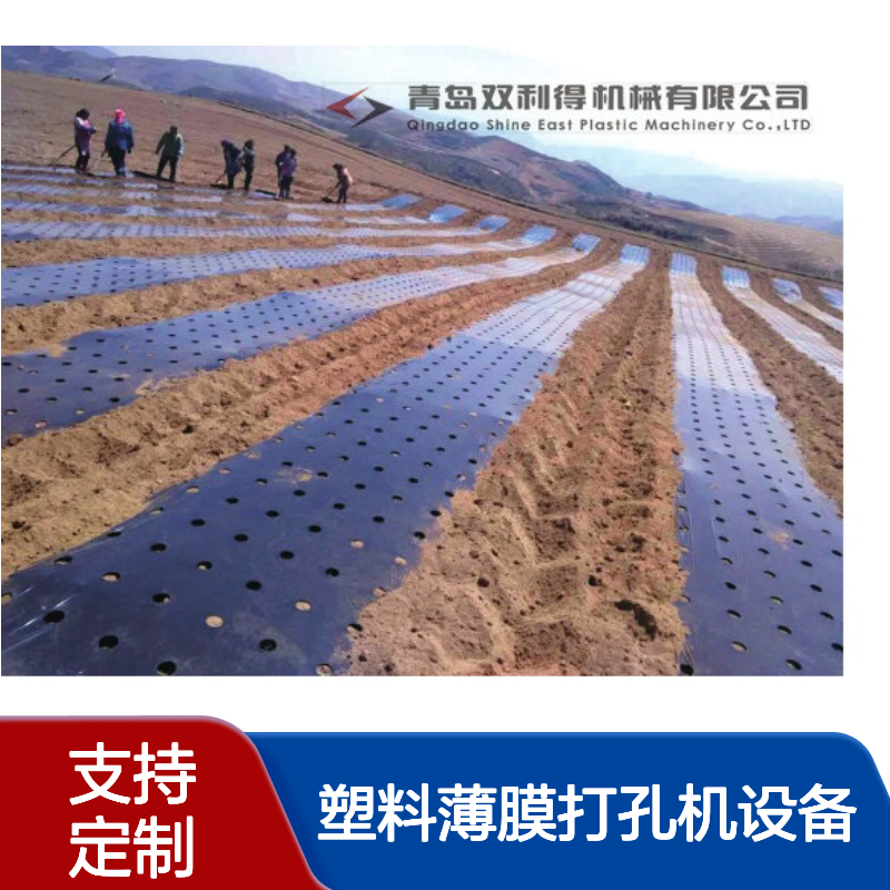 双利得根据客户定制塑料薄膜打孔机设备农膜地膜打孔生产线