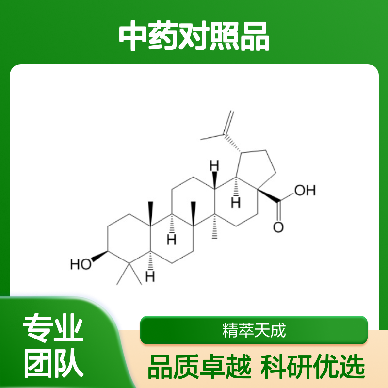 白桦脂酸 472-15-1 HPLC≥98% 中药对照品 现货含票 科研实验使用