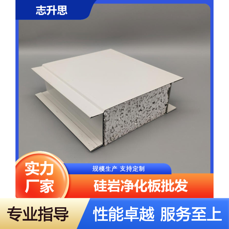 志升思硅岩净化板 支持定制 防水阻燃坚固耐用 洁净工程专用板材