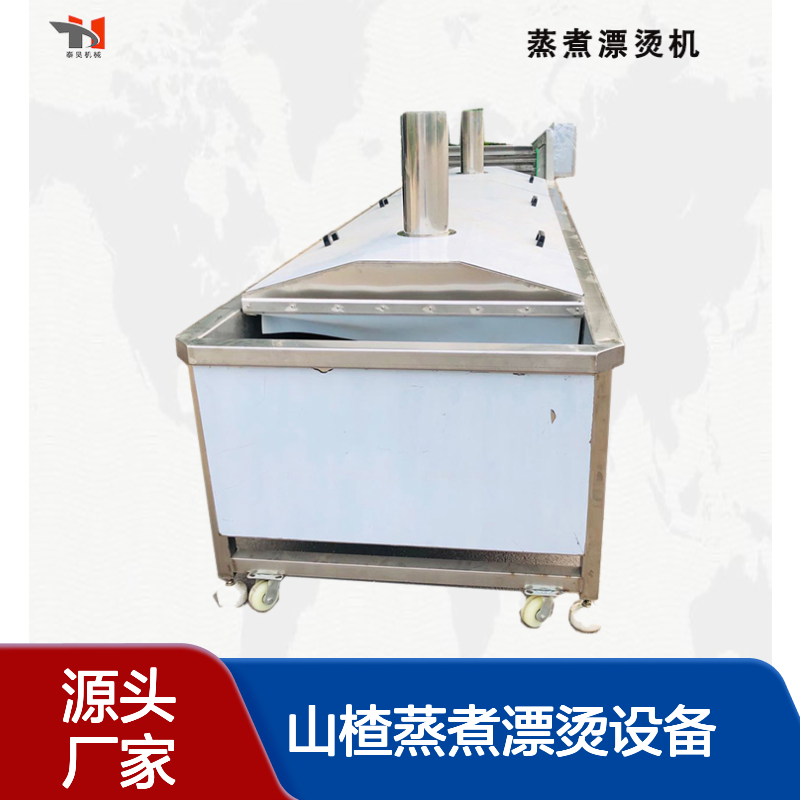桃子山楂蒸煮漂烫设备 水果罐头杀青机 蒸汽式预煮漂烫流水线厂家