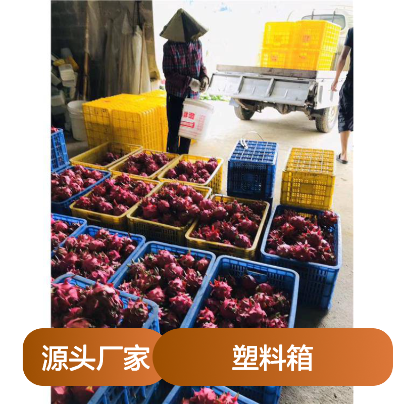 乔丰塑料箱 全新PE材质 抗压防摔 食品级别 转运便捷