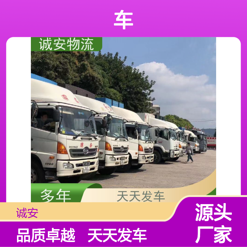 诚安物流 12吨车 深圳到澳门 专人跟单 随时发车