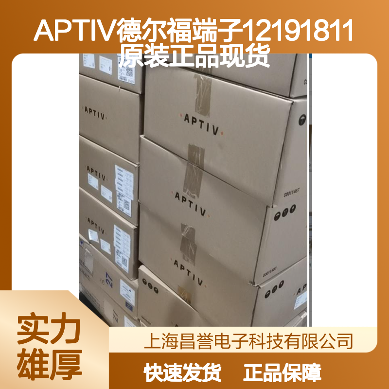 APTIV德尔福端子12191811 原装正品 现货直发 国内代理
