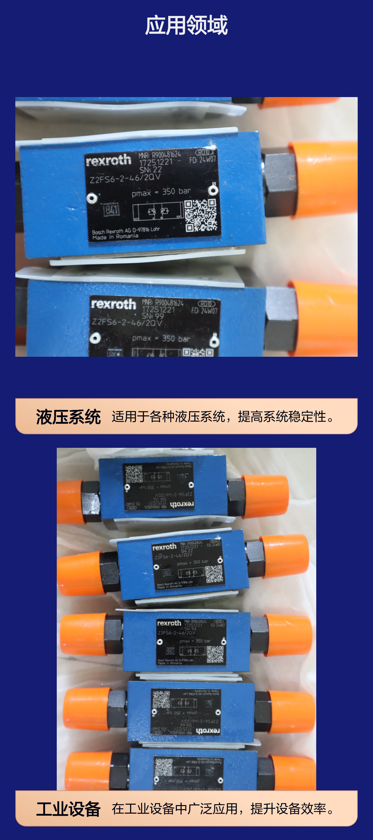 Z2FS6-2-45/2QV Z2FS6-2-43/2QV R900481624 力士乐REXROTH节流阀