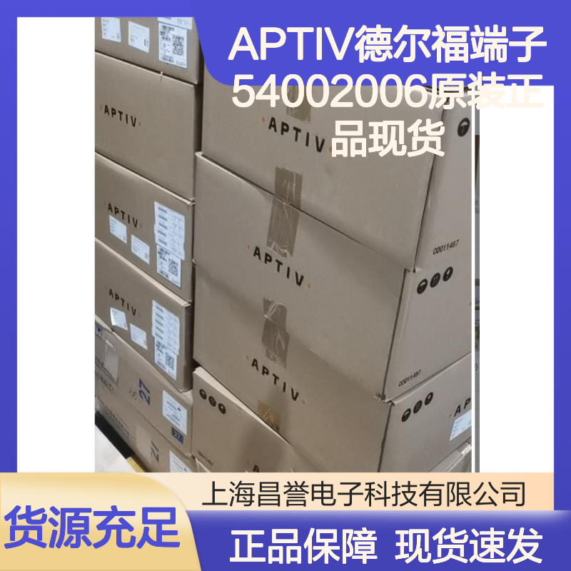 APTIV德尔福端子54002006 原装正品现货 国内代理货源可追溯