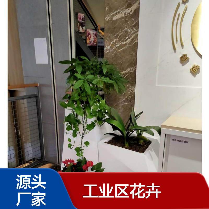 工业区花卉租摆服务 省心省力 净化空气 绿植丰富