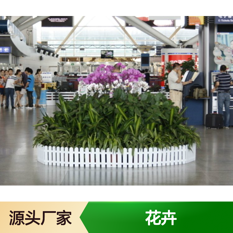 南韵竹风花卉租摆服务 承接绿化工程 品种多样