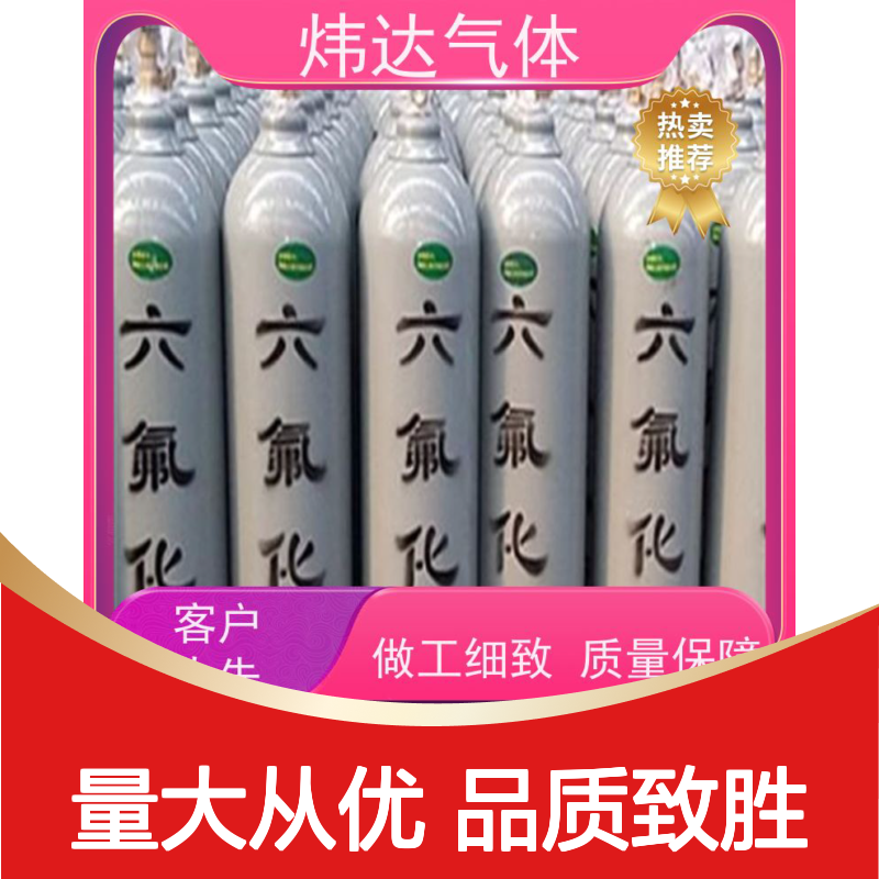 双重检测 六氟化硫分析气 实验室专用 质量保障