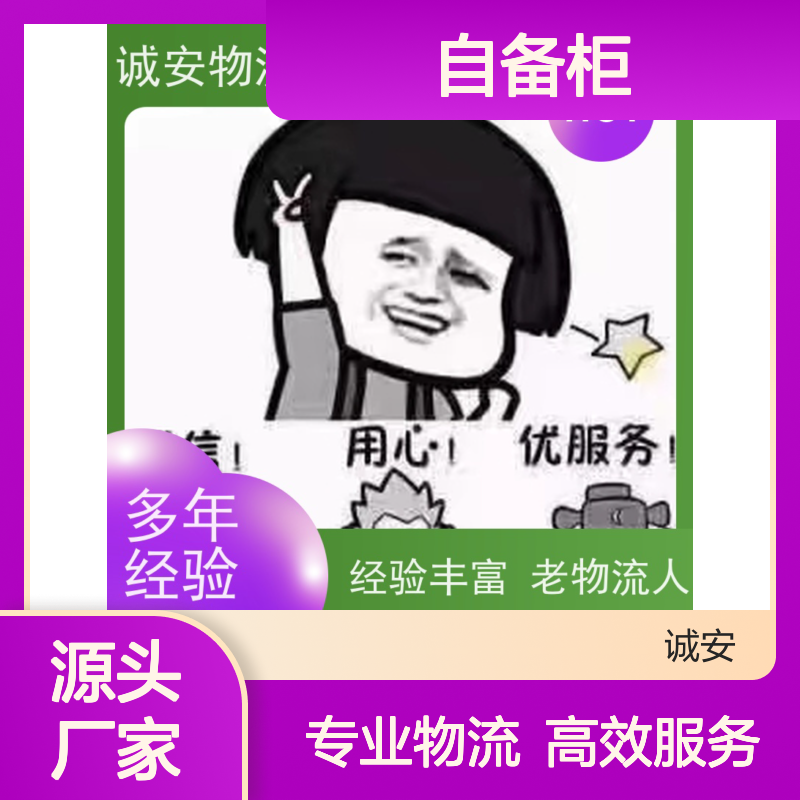 诚安物流45尺自备柜东莞到南宁专人跟单次日到