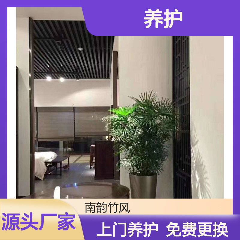 办公室植物租赁 蛇口花卉绿植出租 上门养护服务 免费更换