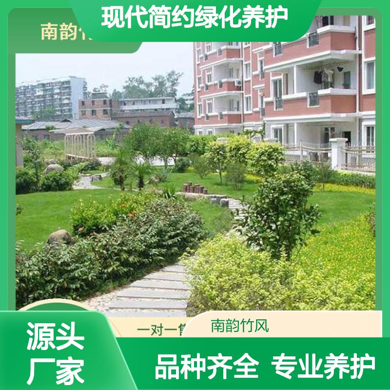 南韵竹风 现代简约绿化养护 齐全品种 专业服务 室内外适用
