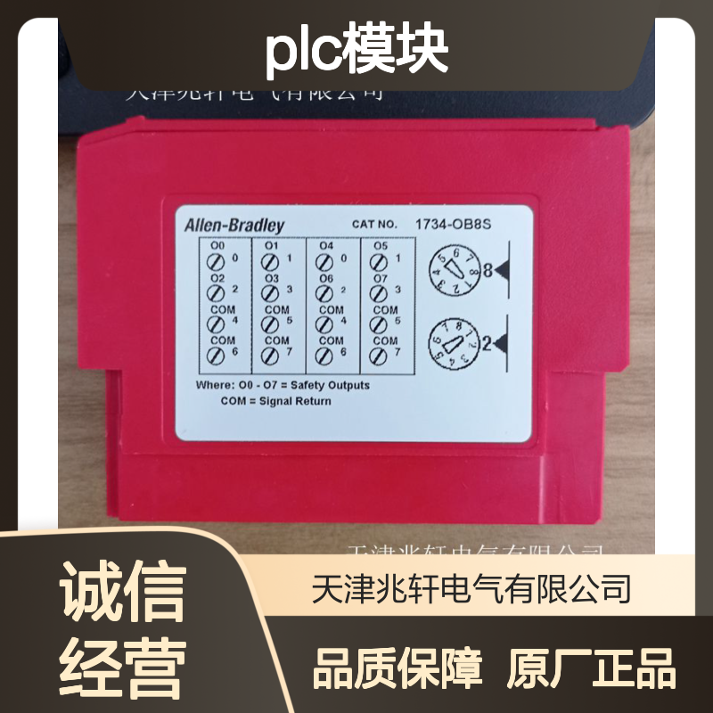 输入模块AB PLC模块全新原厂原装 1734-EP24DCK 源头厂家