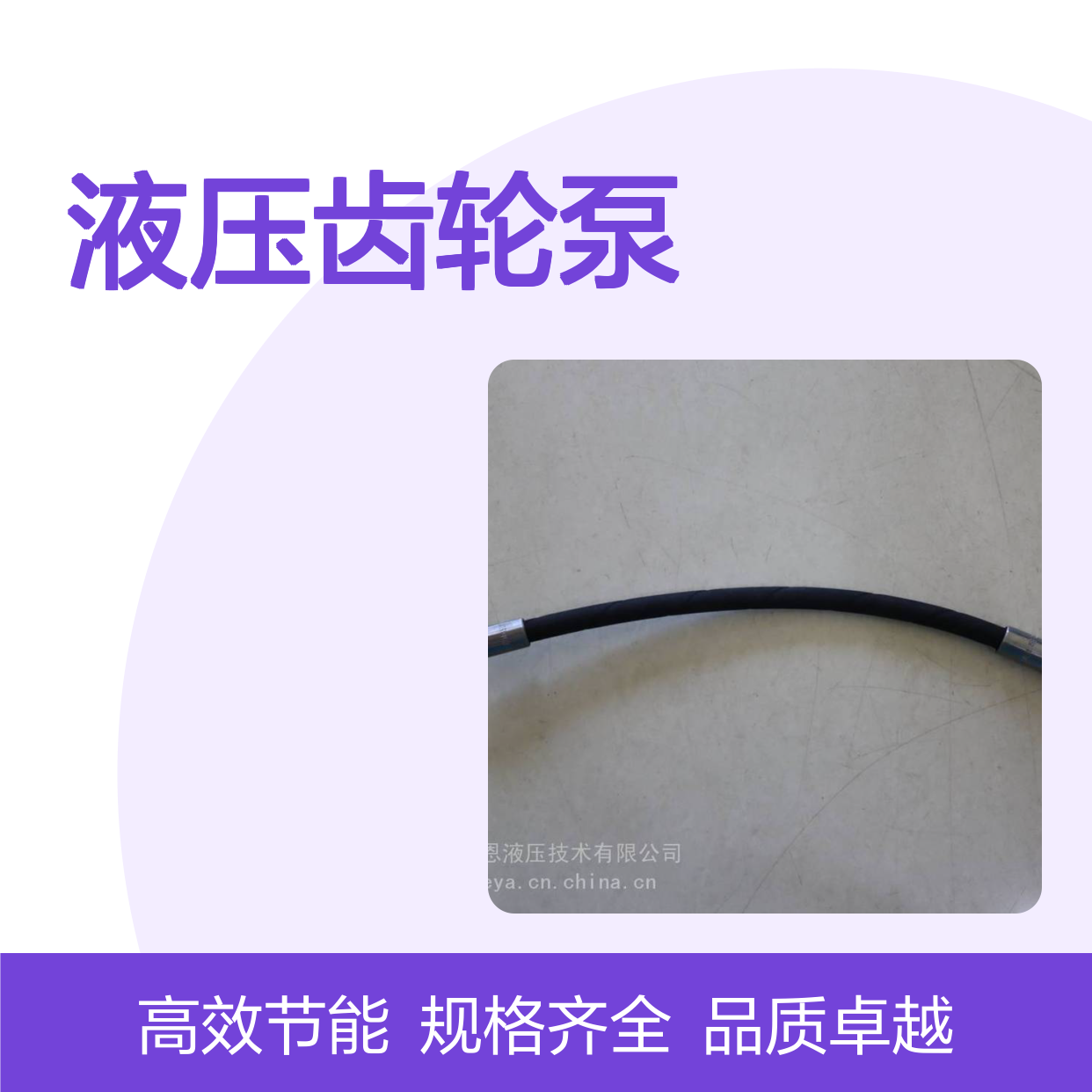 供应液压齿轮泵 HED8OA-2X/200K14 R901102708 叶片泵