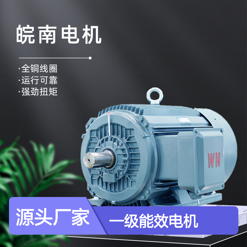 YE3/YE4/YE5全铜线圈 一级能效电机 运行平稳动力强劲