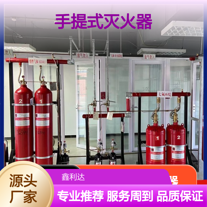 手提式灭火器 消防报审维保 高效灭火工具 不锈钢材