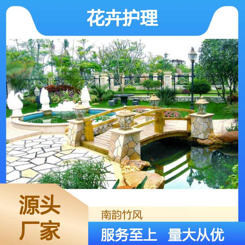 南韵竹风 花卉护理绿植盆栽 成活率高 品种多样