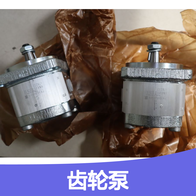 0510110017 AZPB-32-2.0RCP02MB 德国力士乐REXROTH齿轮泵