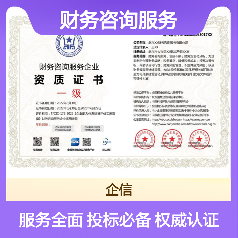 财务咨询服务企业资质证书 投标加分 多网可查 ESCE