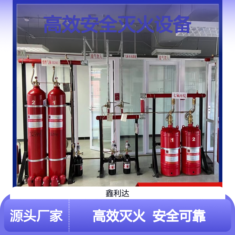 鑫利达手提式灭火器 消防必备 高效安全灭火设备