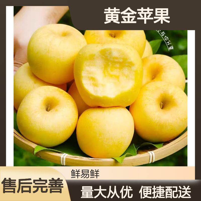 维纳斯黄金苹果 冷冻运输 冷藏配送 甜度12-18° 脆甜多汁