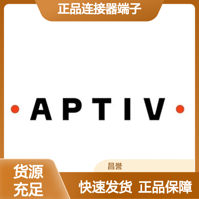13779834 APTIV安波福原装正品连接器端子 汽车电子配件专用