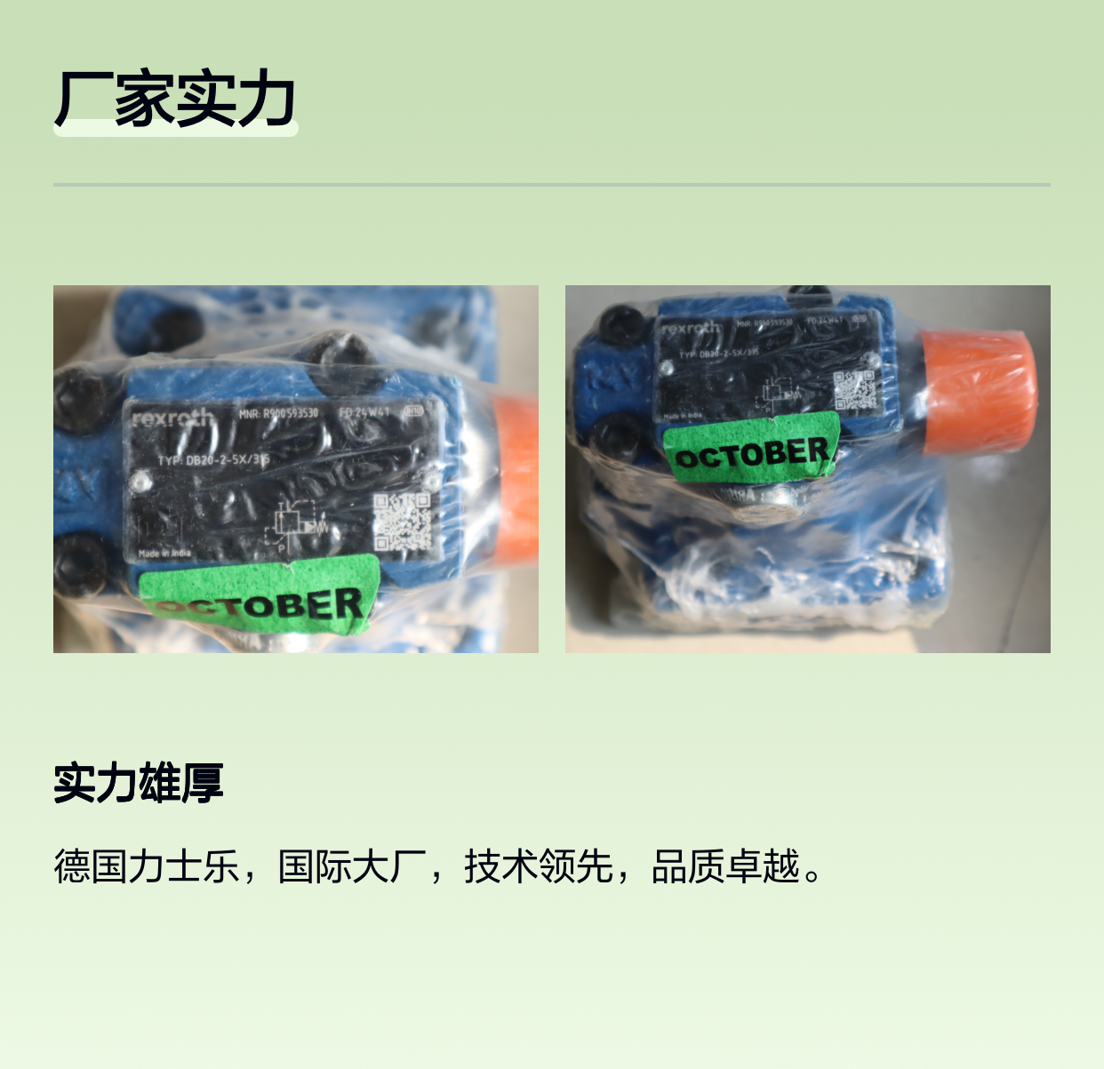 R900593530 DB20-2-5X/315 DB20-2-52/315 德国力士乐REXROTH溢流阀