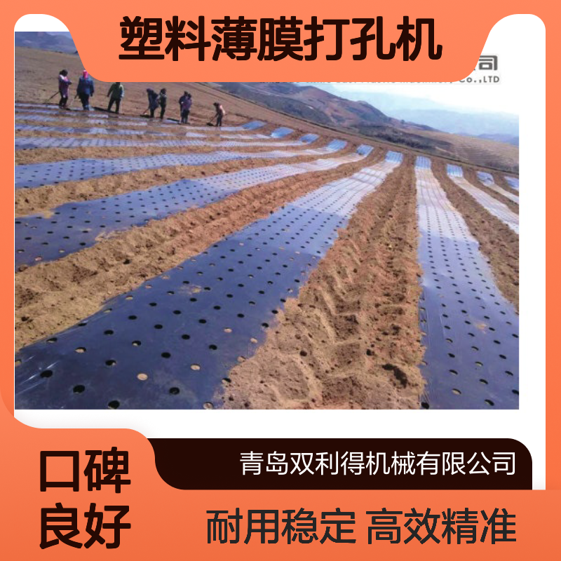 塑料薄膜打孔机生产线根据客户定制双利得生产