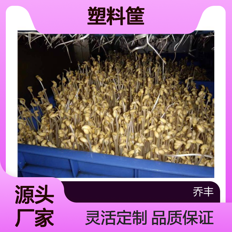 乔丰塑料筐 塑胶周转箱 多色可选 食品级别 坚固耐用