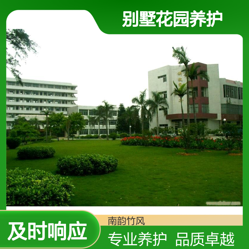 深 圳绿化养护管理 别墅花园养护 园林施工后期维护业务 南韵竹风