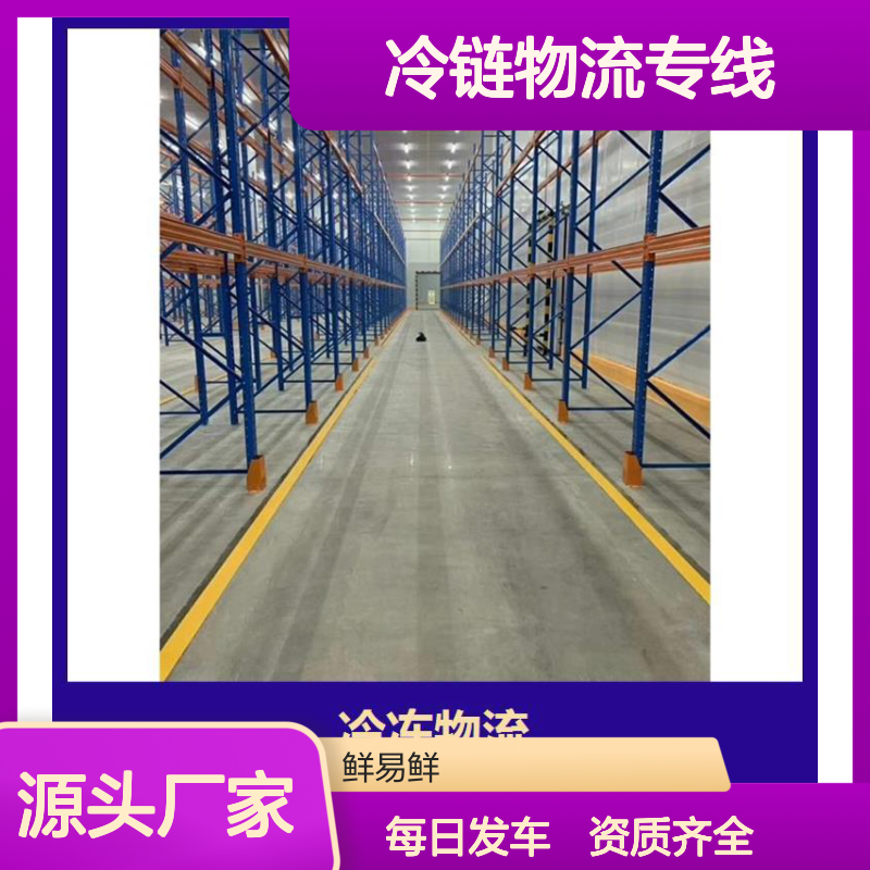冷冻食品运输 每日发车 深圳到广州 资质齐全 冷链物流专线 鲜易鲜物流
