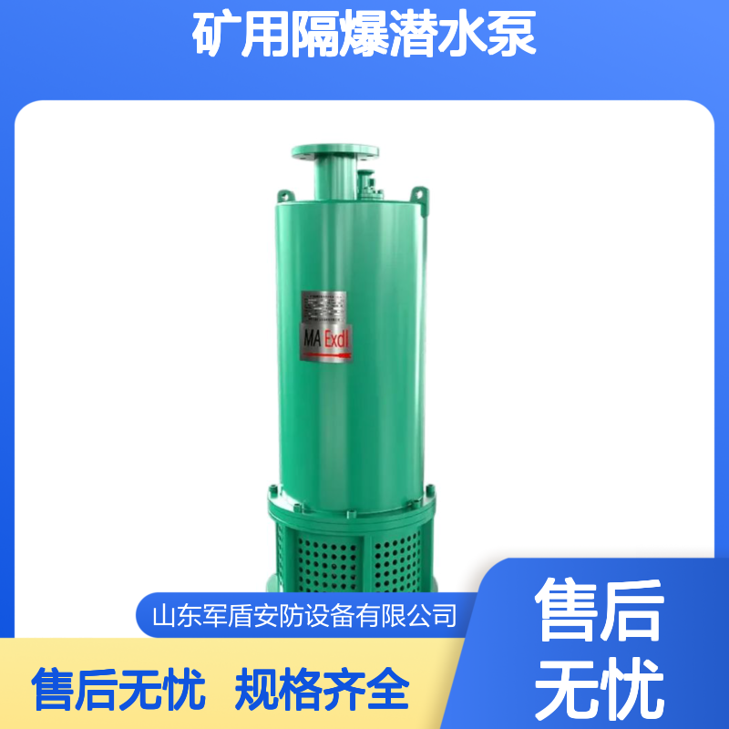 BQS矿用隔爆潜水泵 扬程范围7m-700m 运行稳定 密封防漏