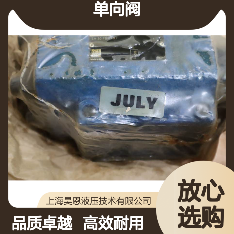 SV30PB1-43/ R900502240 SV30PB1-44/ 德国力士乐REXROTH单向阀