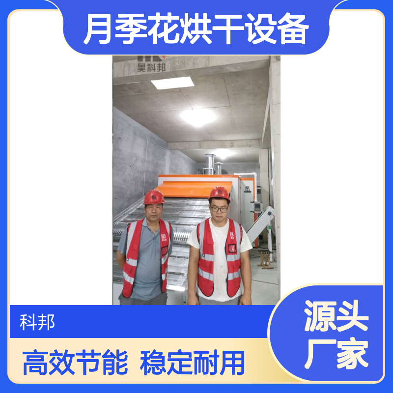 玫瑰花网带式烘干机连续作业 月季花烘干设备钱一台 花叶草烘干房