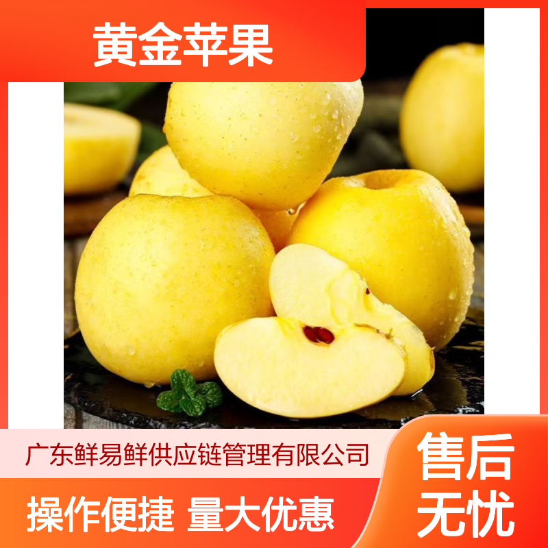 维纳斯黄金苹果冷藏配送 脆甜多汁果肉嫩黄 速冻食品冷链物流