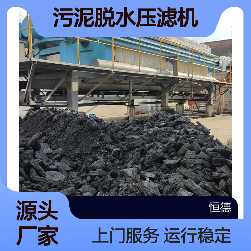 压滤机出租 固液分离压泥机 移动式污泥处理车 运行稳定上门服务