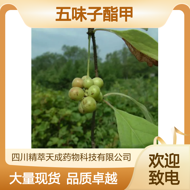 五味子酯甲 58546-56-8 自制对照品 HPLC≥98%大量现货含票 科研实验