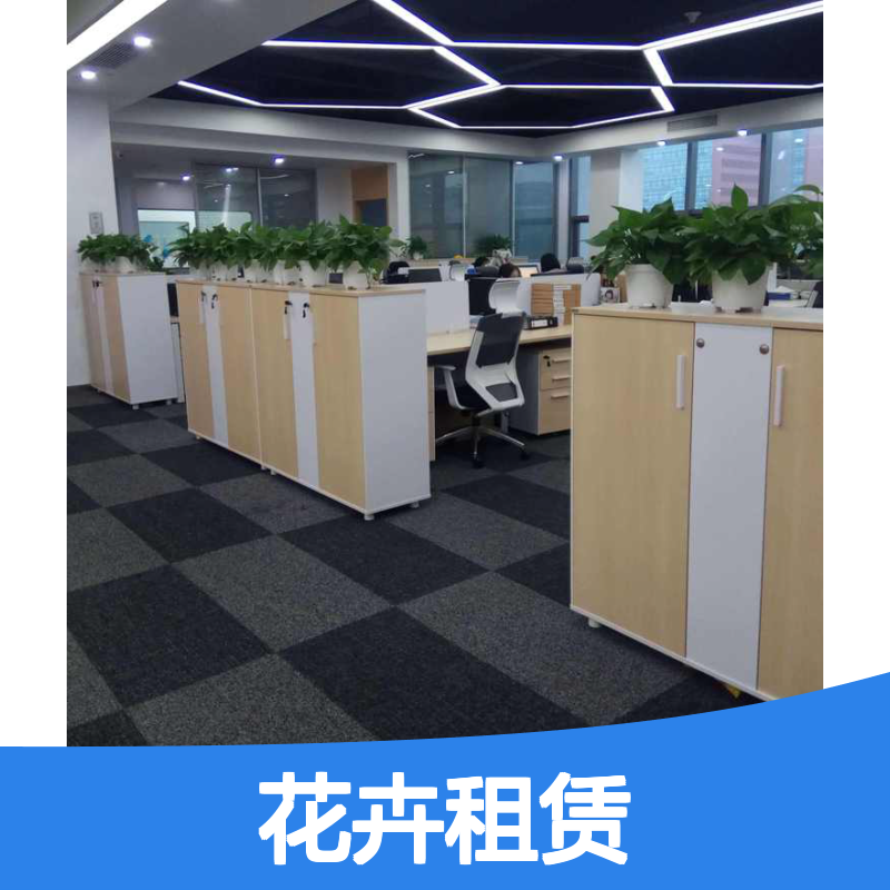 花卉租赁服务 办公室绿植租摆养护 品种多样 成活率高
