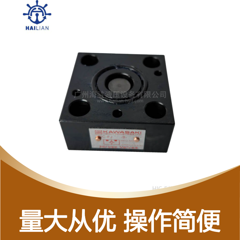 Hailianrose单向阀HIC-FJ25-B-04-11-M 法兰液压阀 甲板机械适用