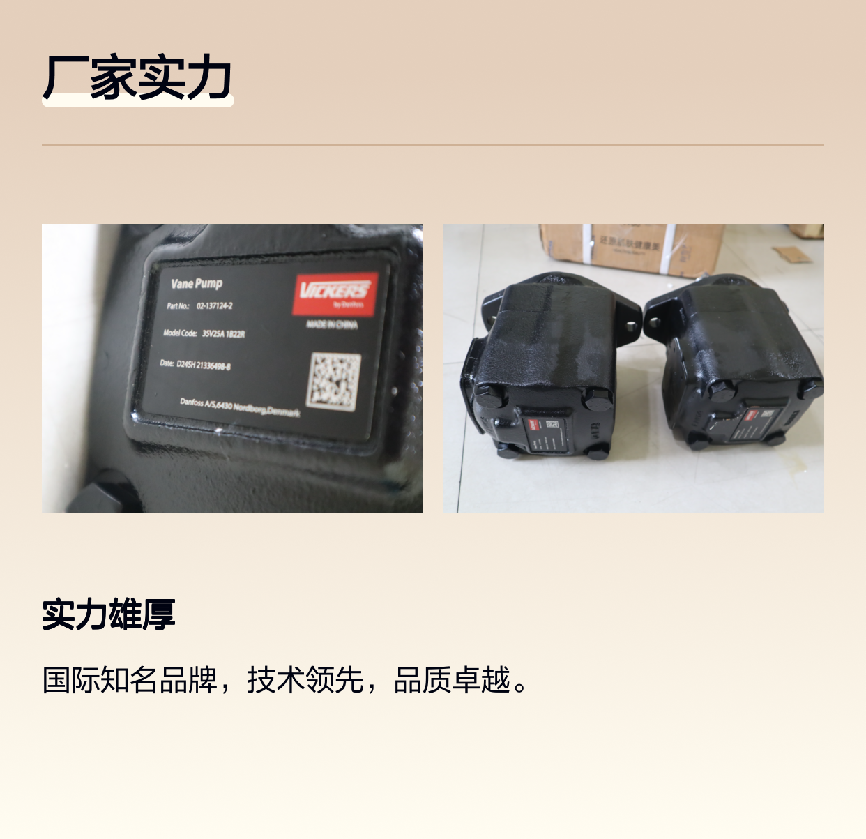 35V25A1B22R 02-137124-2 美国威格士VICKERS丹佛斯DANFOSS叶片泵